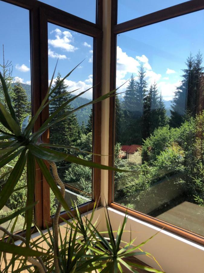 פרדיאל Genco Hotel Mountain View מראה חיצוני תמונה